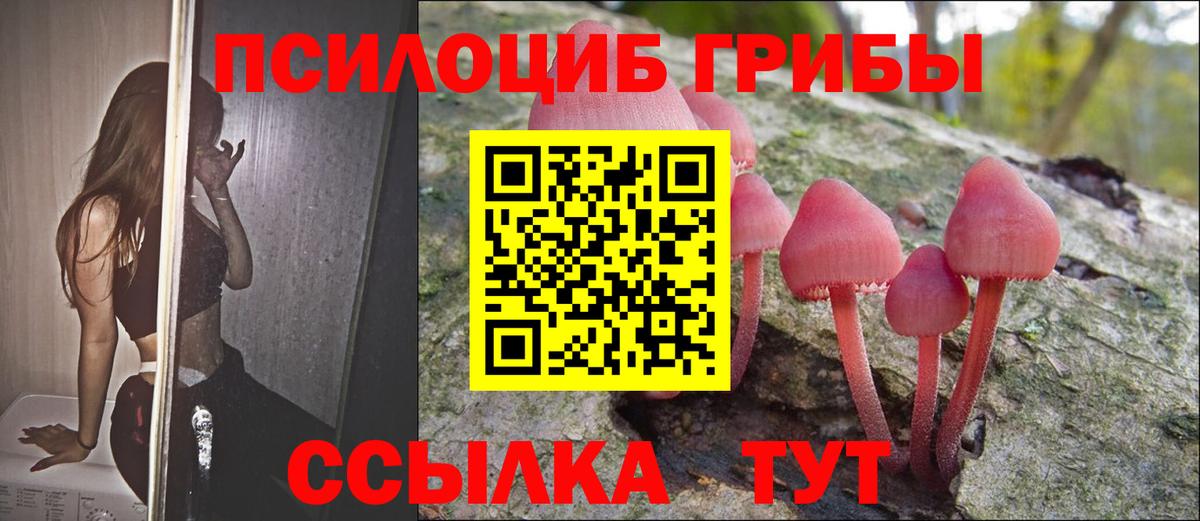 Псилоцибиновые грибы Psilocybe  Псилоцибиновые грибы мухоморы  Татарск  Вход с VPN 